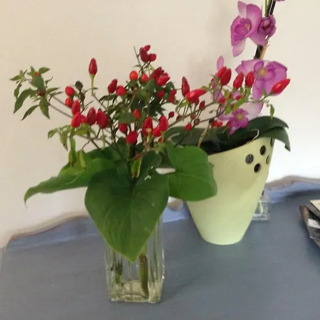 A Picco Su 公寓 皮蒂利亚诺