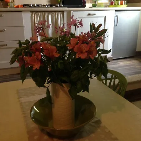 Apartment A Picco Su *