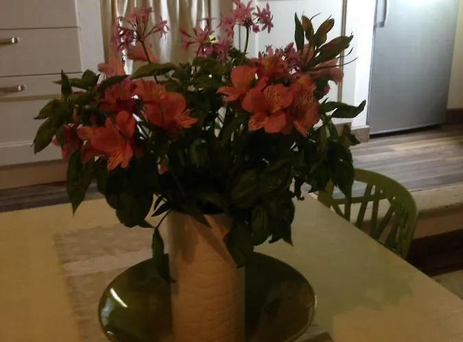 아파트 A Picco Su *