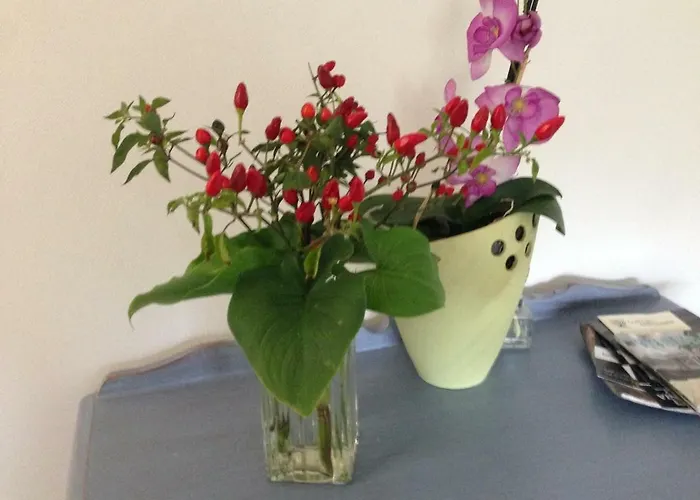 A Picco Su 아파트 피틸리아노